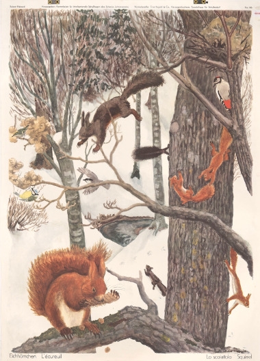 L'écureuil, n°106